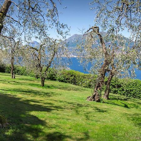 Villa Dismero-Un Oasi Di Lusso E Privacy Brenzone sul Garda Buitenkant foto